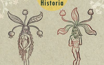 Diálogos con la Historia: un espacio para pensar los cuidados desde una mirada histórica y crítica